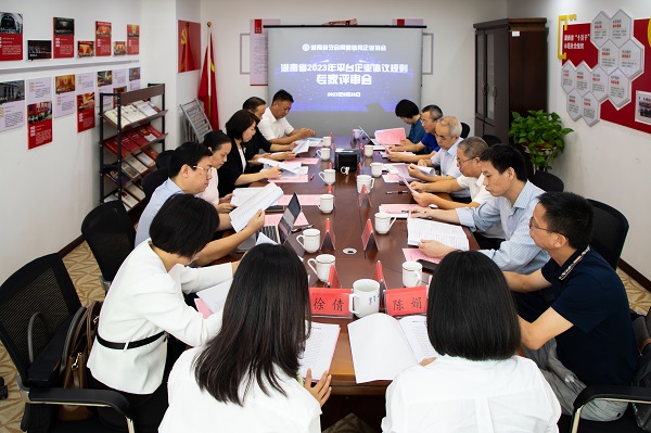 协会召开湖南省2023年平台企业协议规则专家评审会